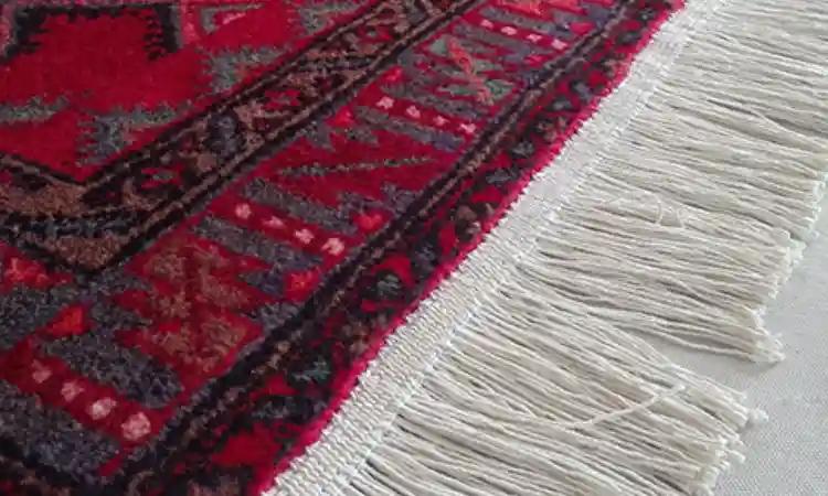 root carpet